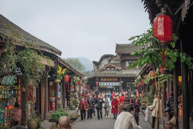 虫虫助手下载